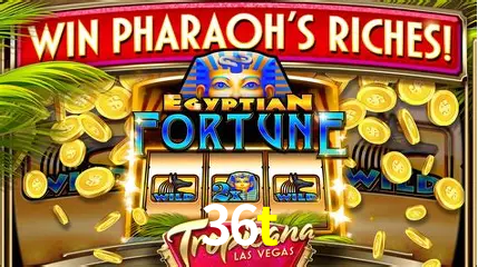 Cassino ao vivo com dealers reais na 36t